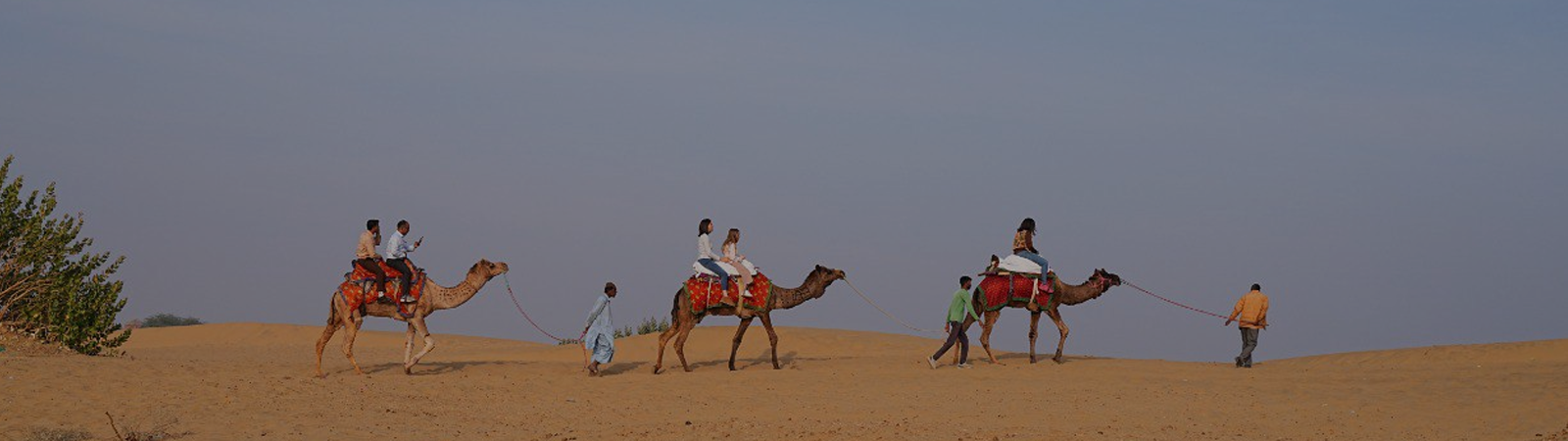 palace on wheels train