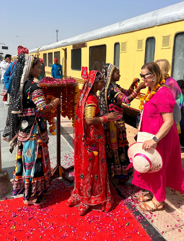 palace on wheels train interior