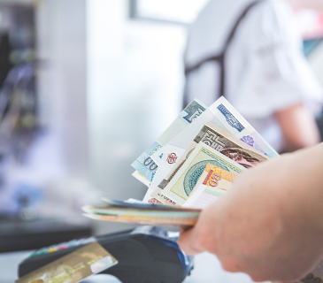 siteseen tour by palace on wheels train