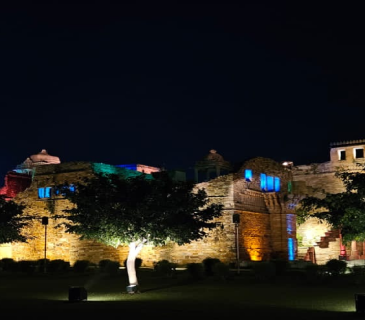 siteseen tour by palace on wheels train